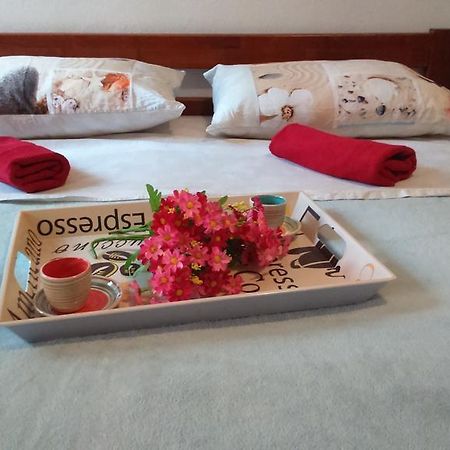 Apartment Vladka Izola Ngoại thất bức ảnh